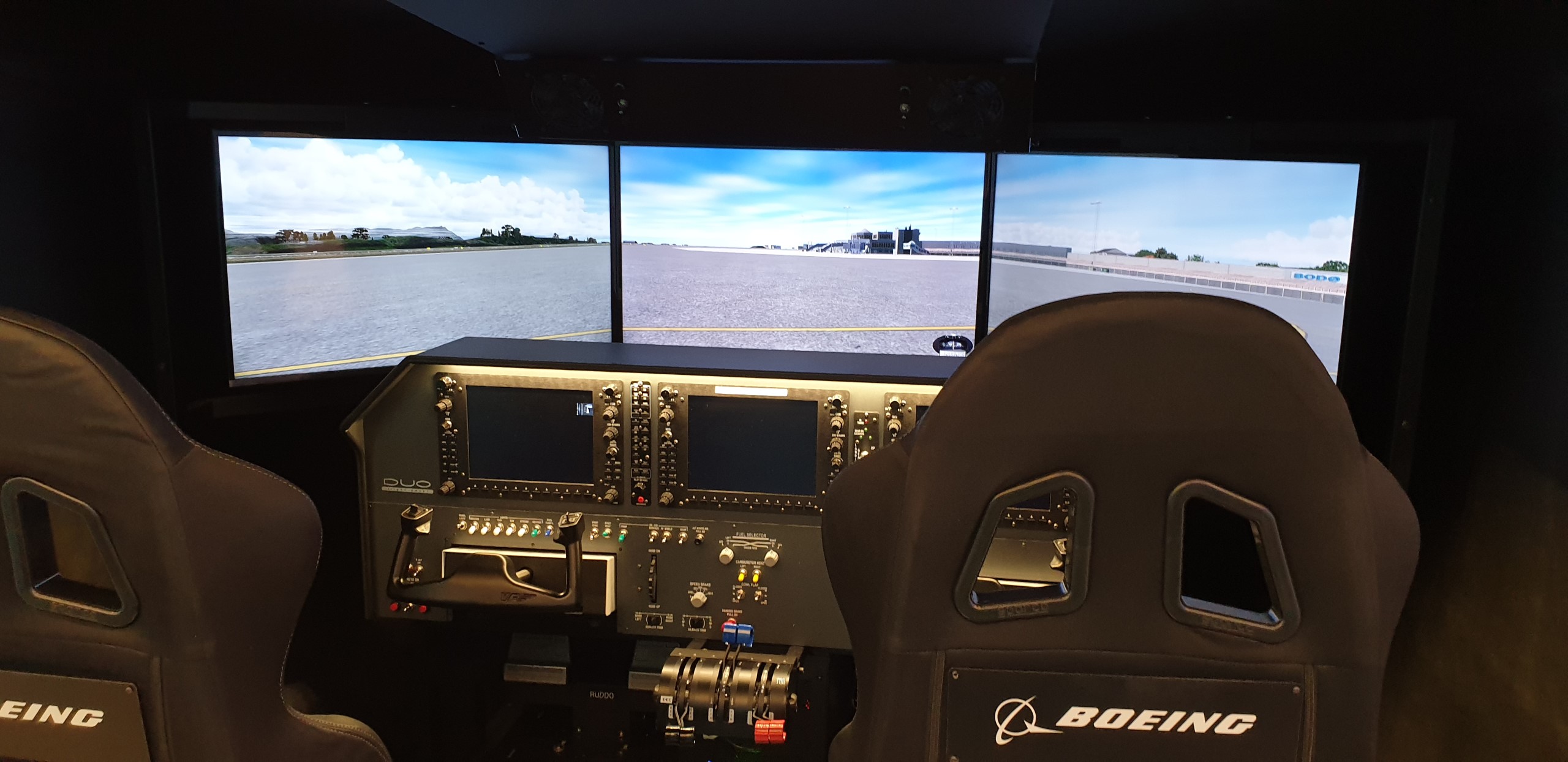 Flight simulator