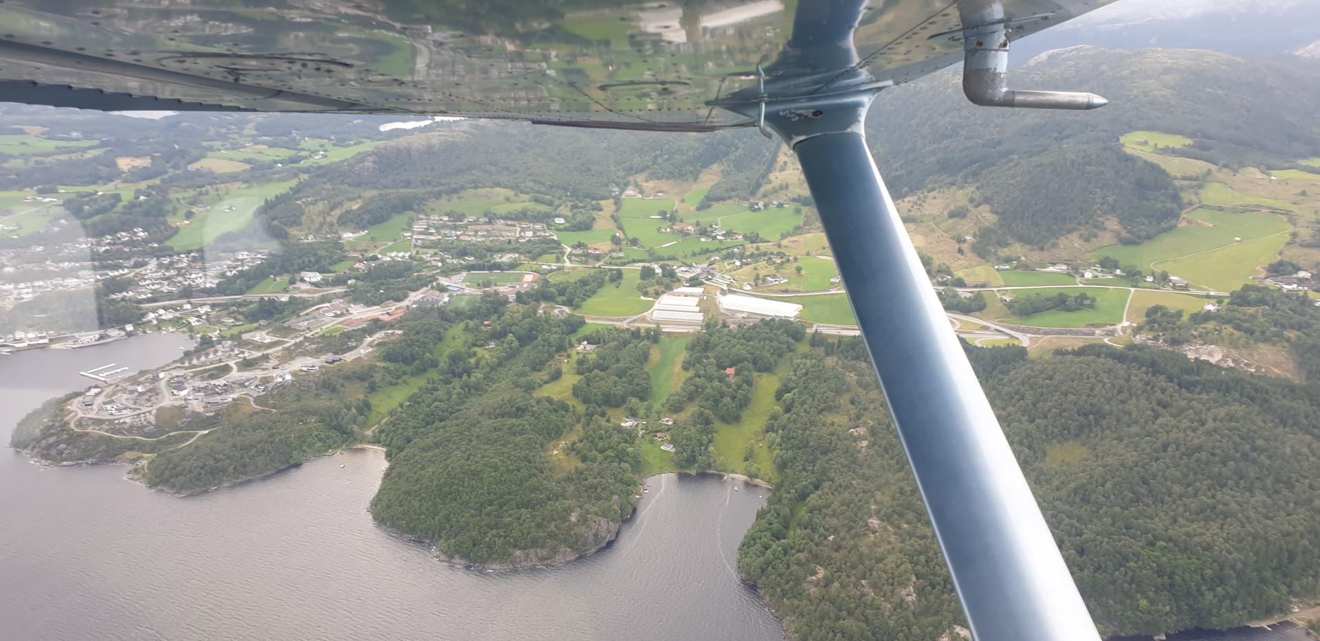 Wing view