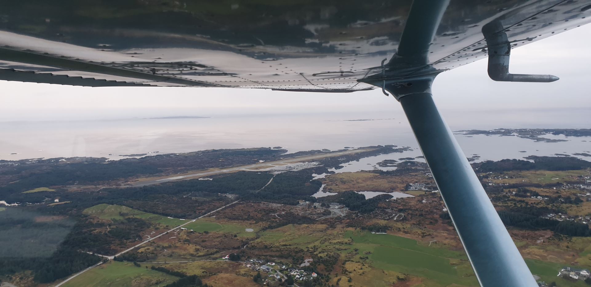 Wing view