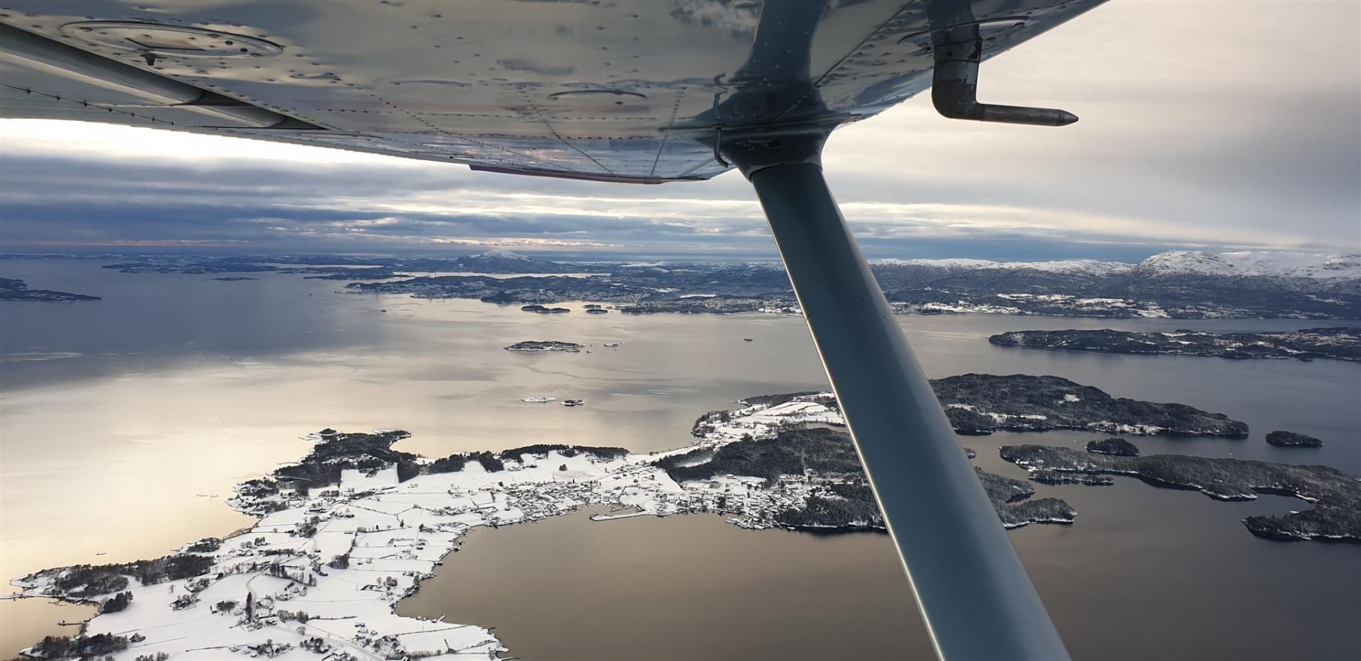 Wing view