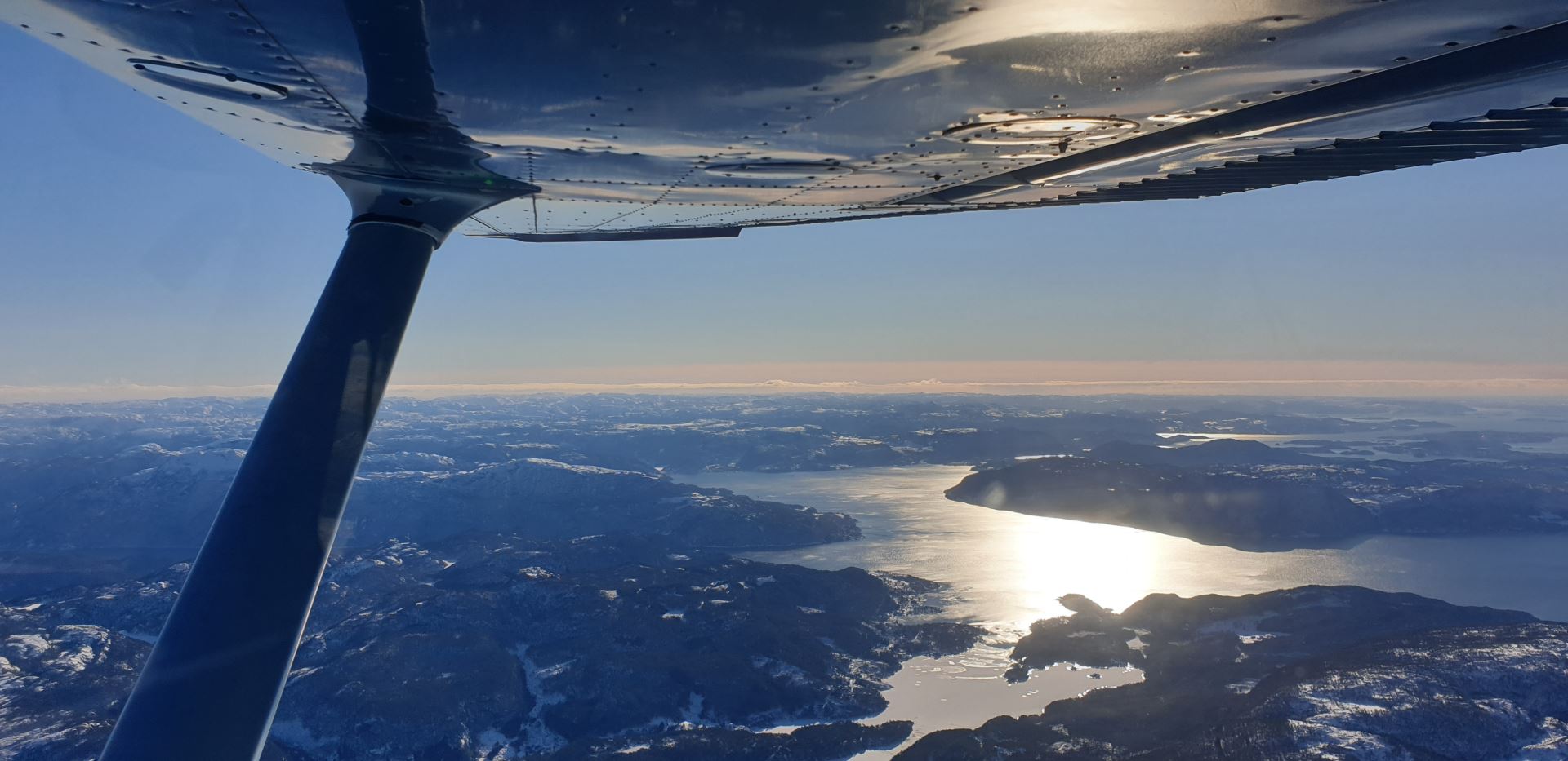 Wing view