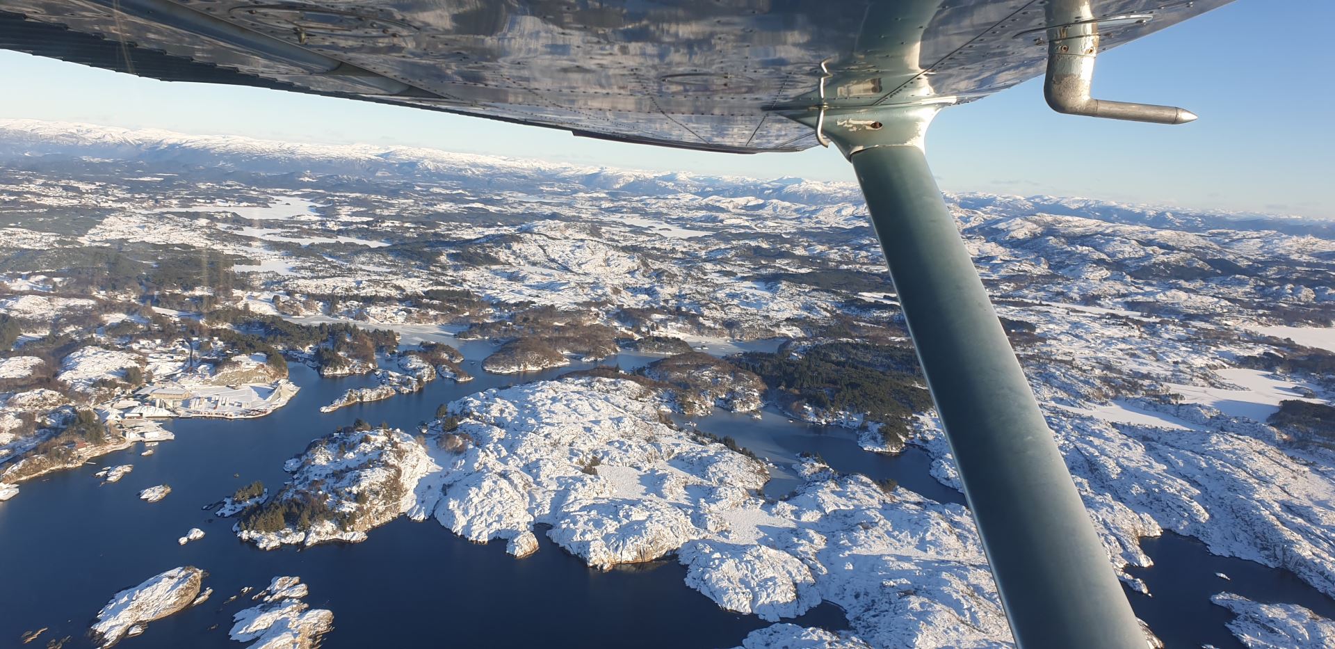 Wing view