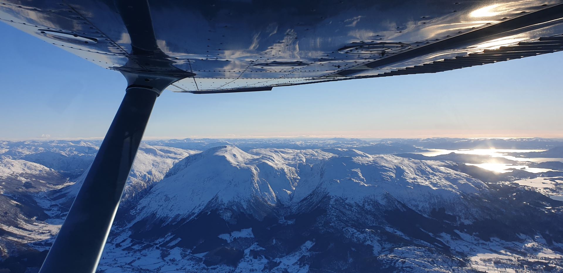 Wing view