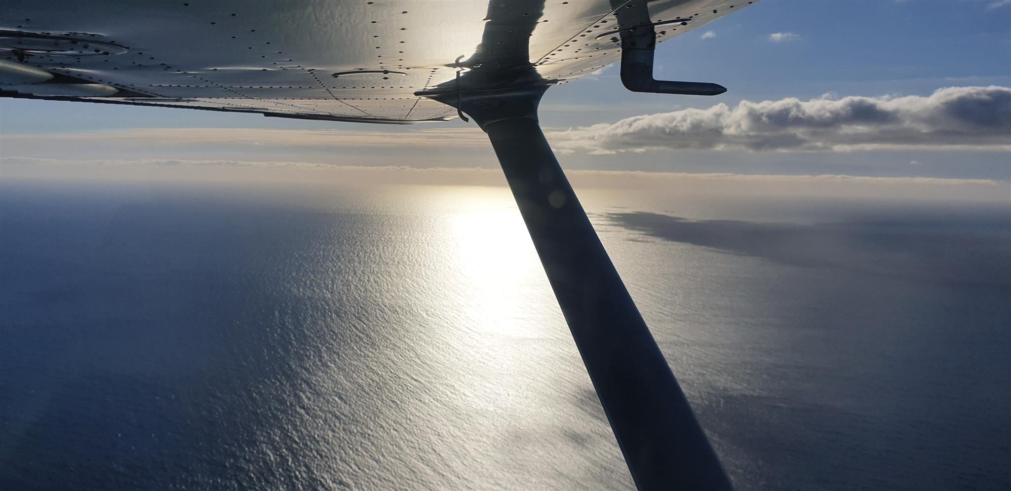 Sunny over the sea