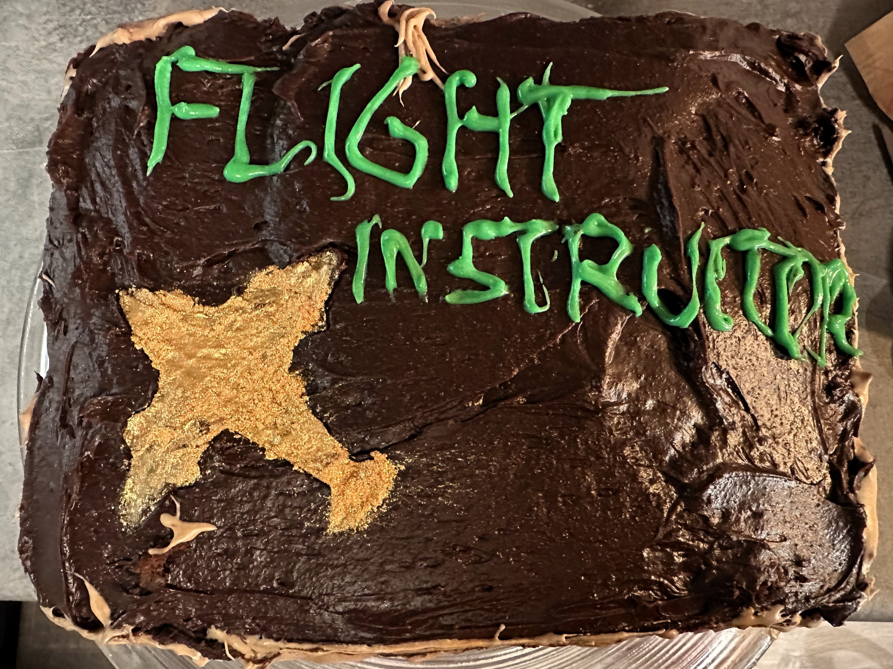 Flight instructor cake